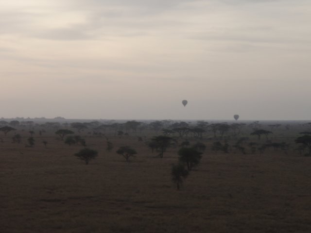 pa064892.jpg