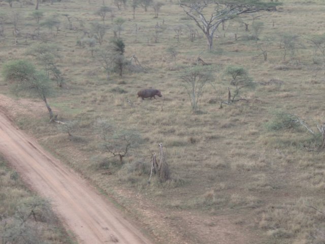 pa064895.jpg