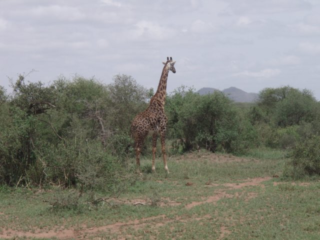 pa074968.jpg