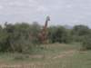 pa074968_small.jpg