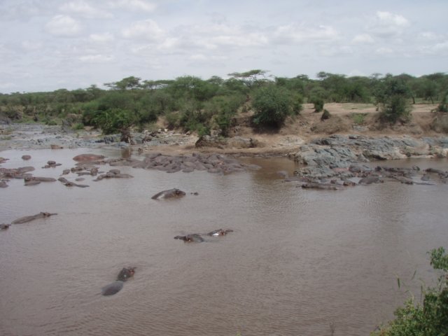 pa074976.jpg