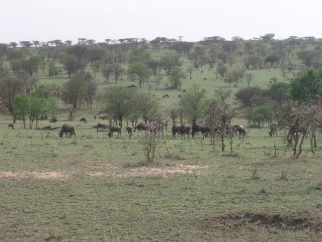 pa075068.jpg