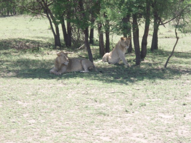 pa085171.jpg
