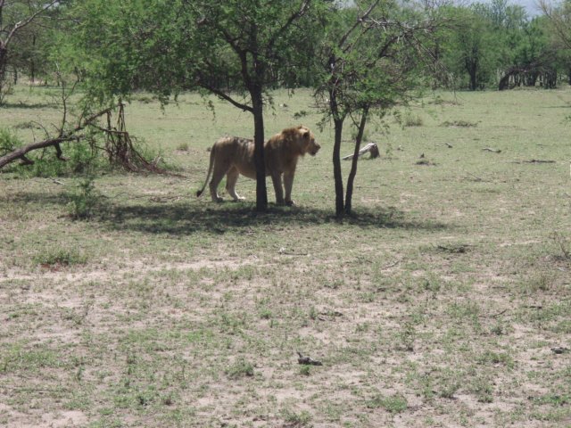 pa085175.jpg