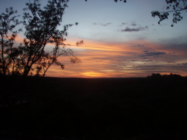 pa085201.jpg