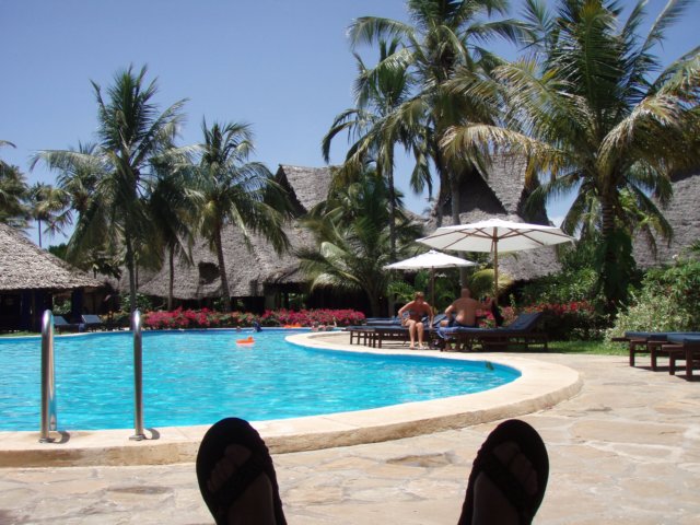 pa175524.jpg