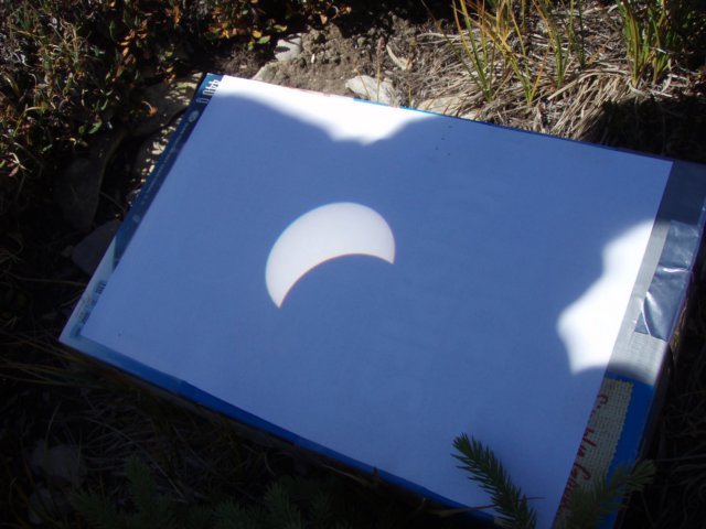 p8218926.jpg