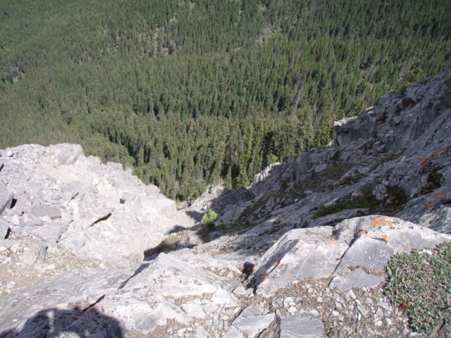 p6180528.jpg