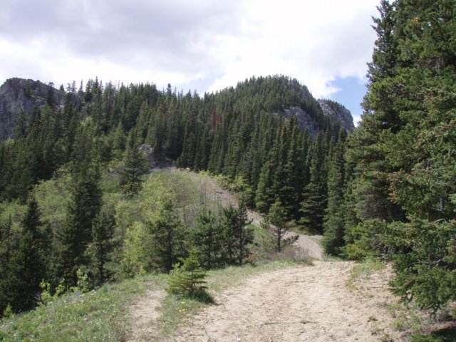p6180536.jpg