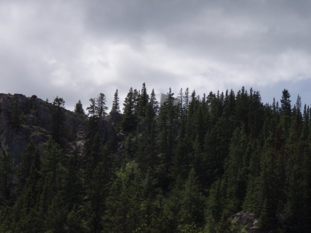 p6180538.jpg