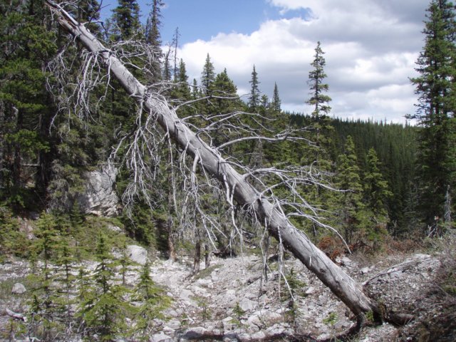 p6201743.jpg