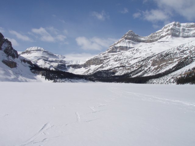 p4181527.jpg