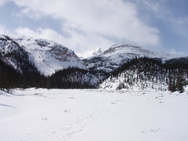 p4181535.jpg