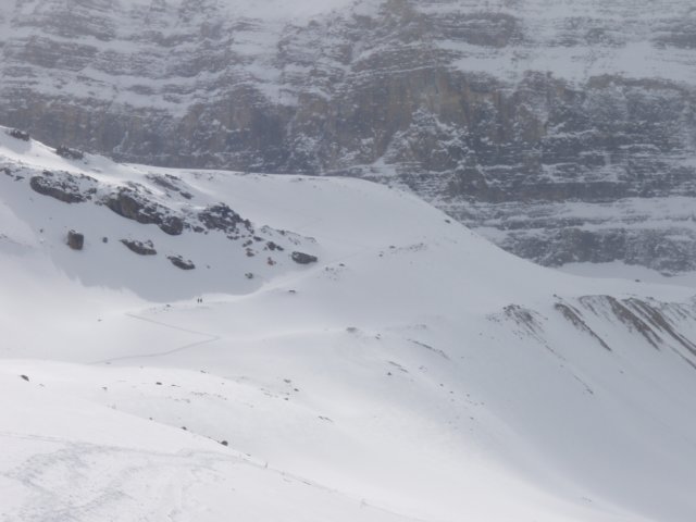 p4191584.jpg