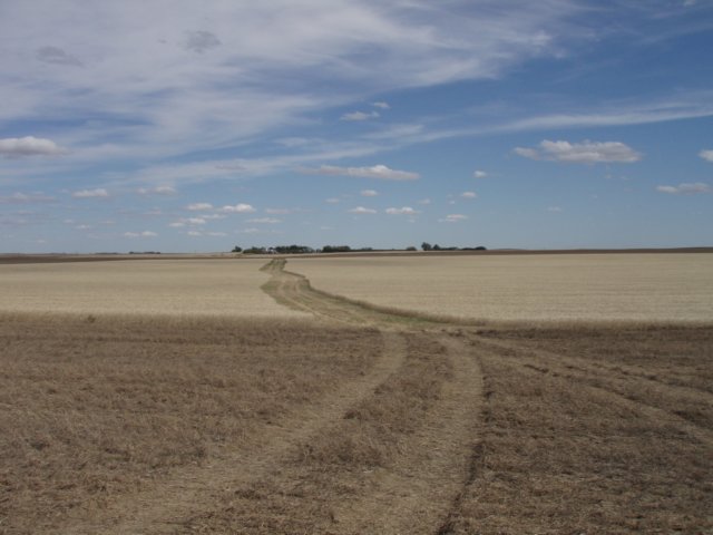 p9121371.jpg