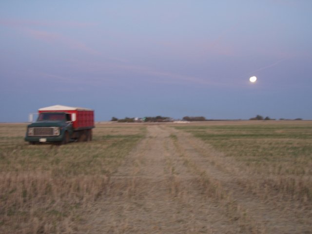 p9141407.jpg
