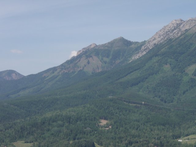 p7161956.jpg