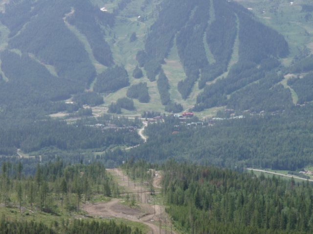 p7161962.jpg