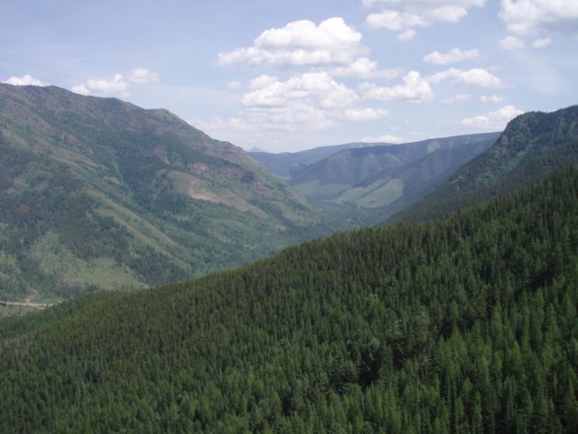 p7161967.jpg