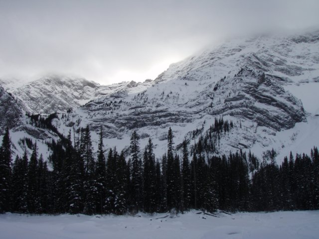 p1102272.jpg