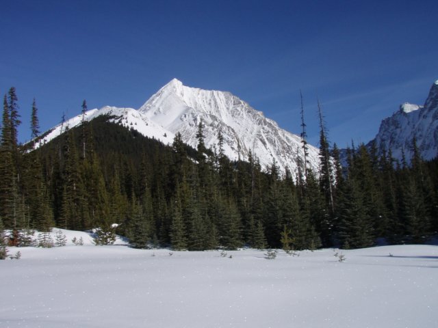 p2062385.jpg