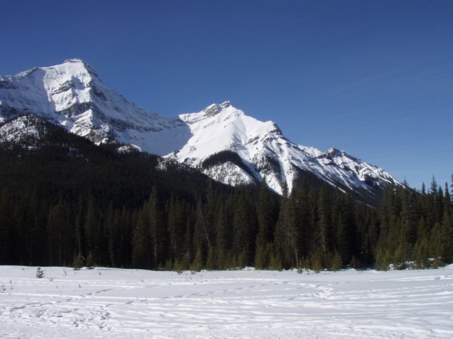 p2062395.jpg