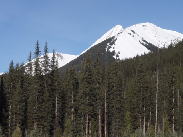 p2062397.jpg
