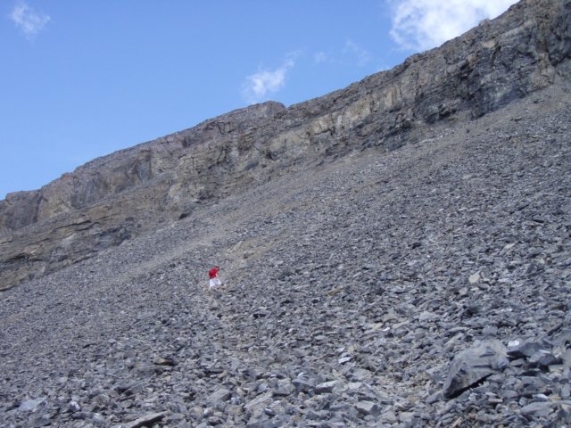 p7020373.jpg