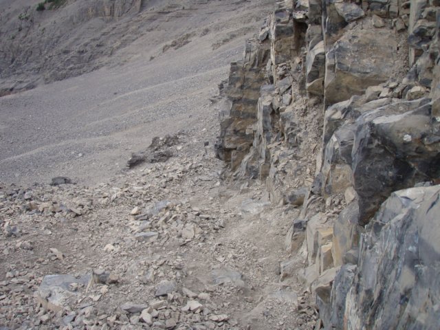 p7020390.jpg