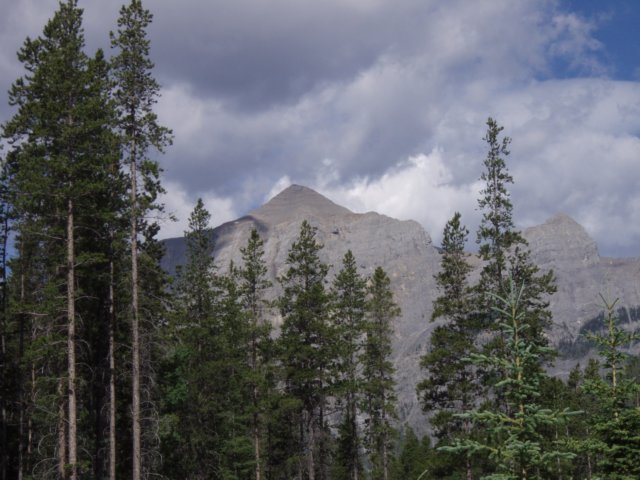 p7030391.jpg