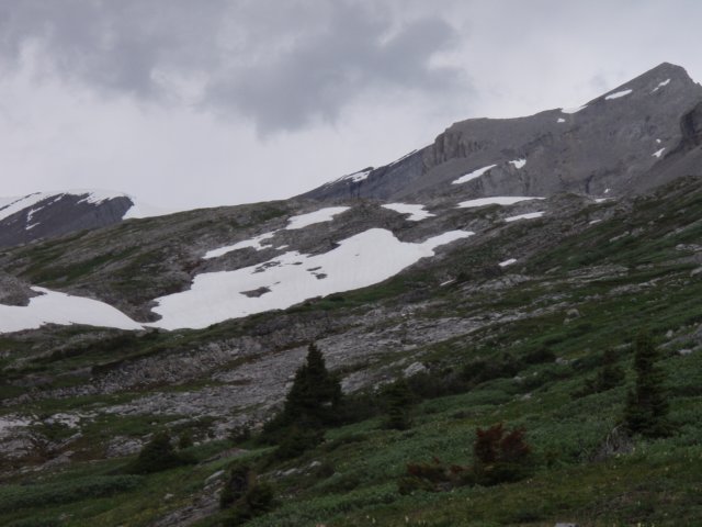 p7180982.jpg
