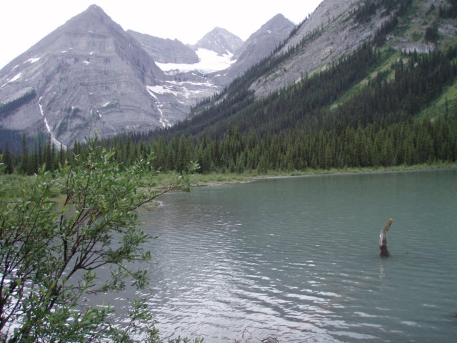 p7180990.jpg