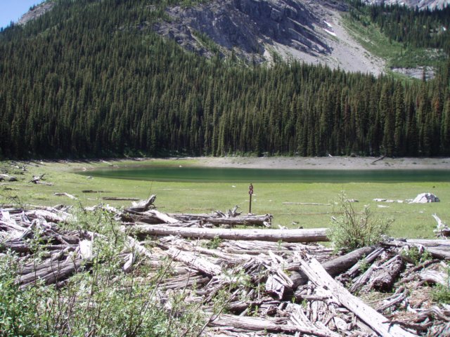 p7191016.jpg