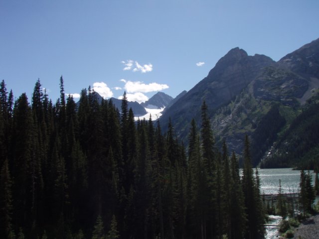 p7191071.jpg