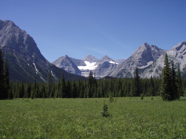 p7201100.jpg