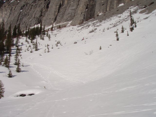 p3062437.jpg