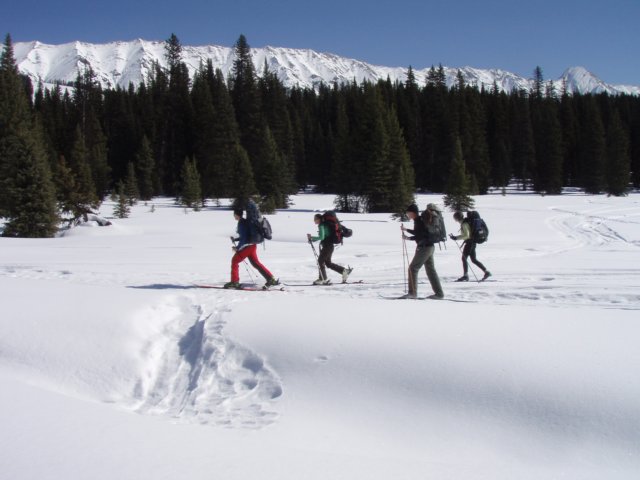p3072458.jpg