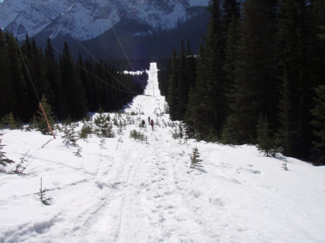p3072462.jpg