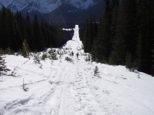 p3072463.jpg