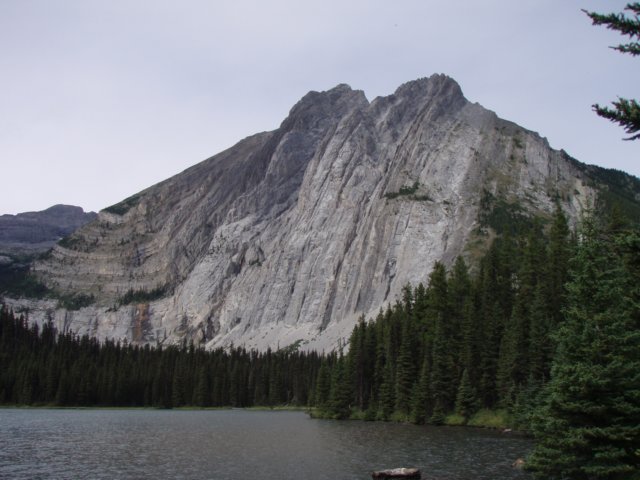 p8251353.jpg