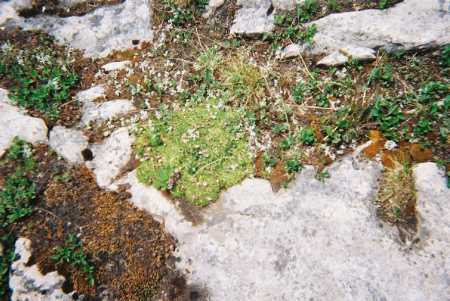 f1060004.jpg