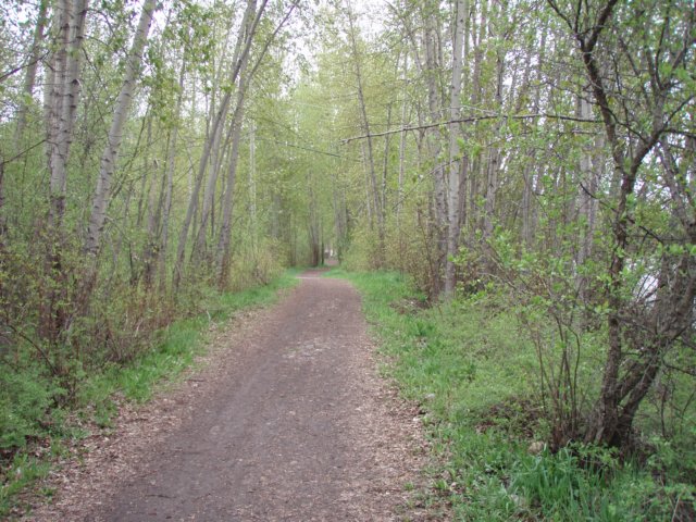 p5220274.jpg