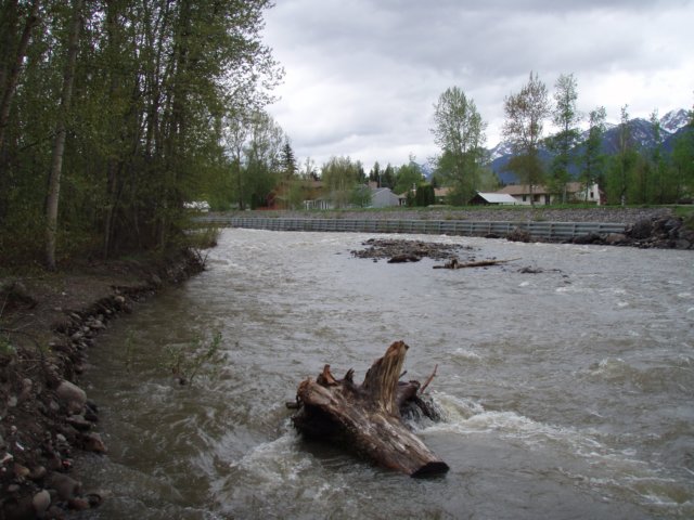 p5220283.jpg