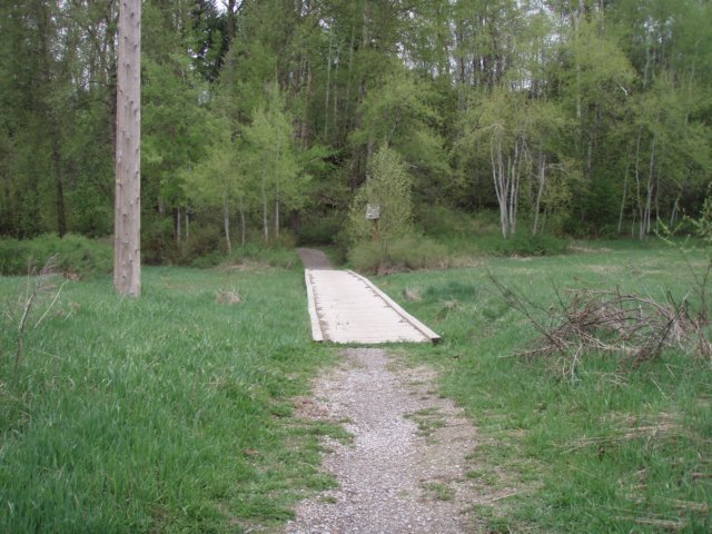 p5220298.jpg