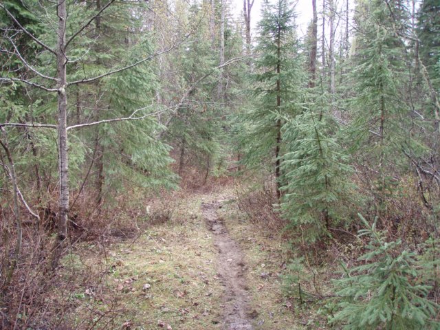p5230324.jpg