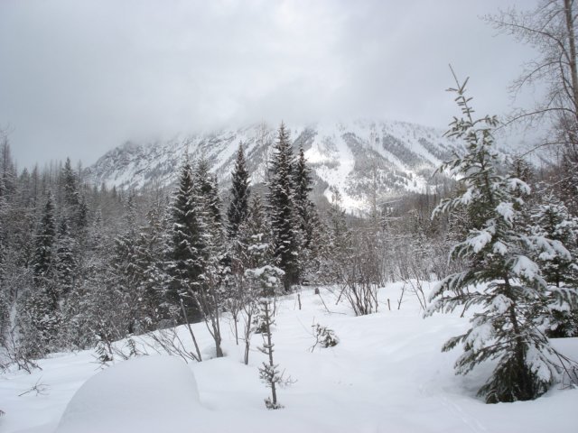 fernie0308001.jpg
