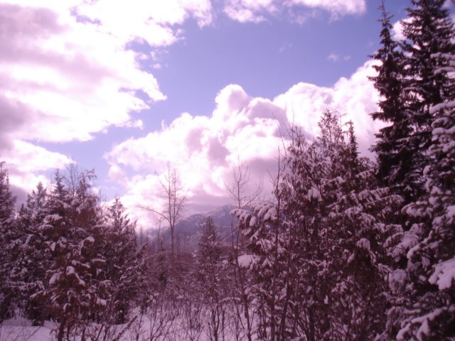 fernie0308004.jpg