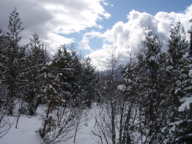 p3160137.jpg