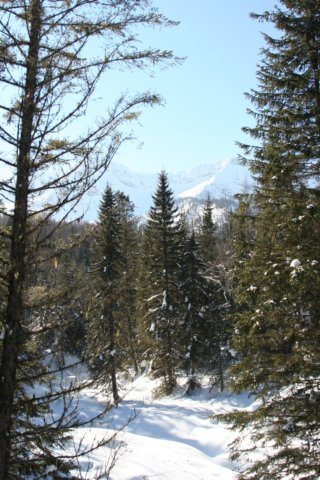 img_3282.jpg