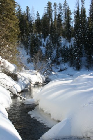 img_3307.jpg
